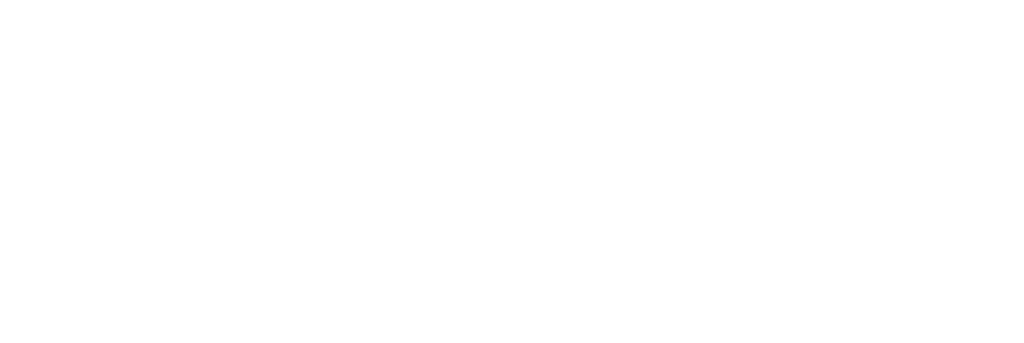 Webbikettu